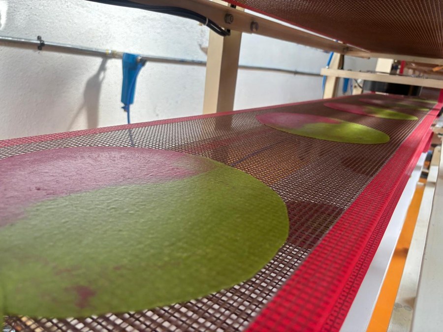 Tri-Color Wrap on conveyor